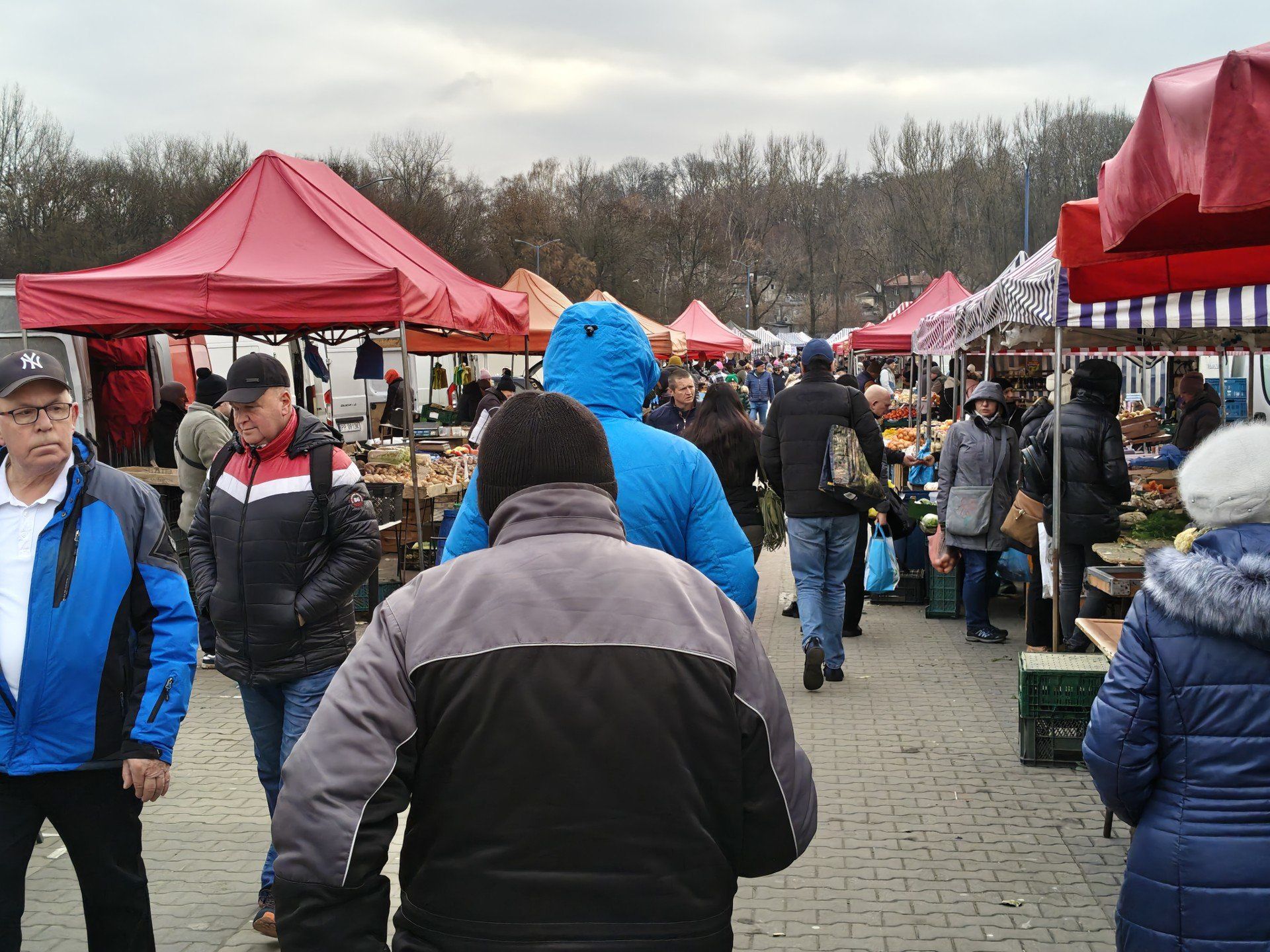 Przewijaj w dół, aby przejść do następnych zdjęć!