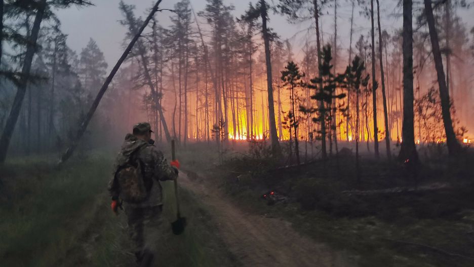 Płoną lasy na Syberii. Kilka wiosek ewakuowano, a kolejnym zagraża ogień