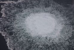 Niemieckie media donoszą. To potajemnie planuje Rosja