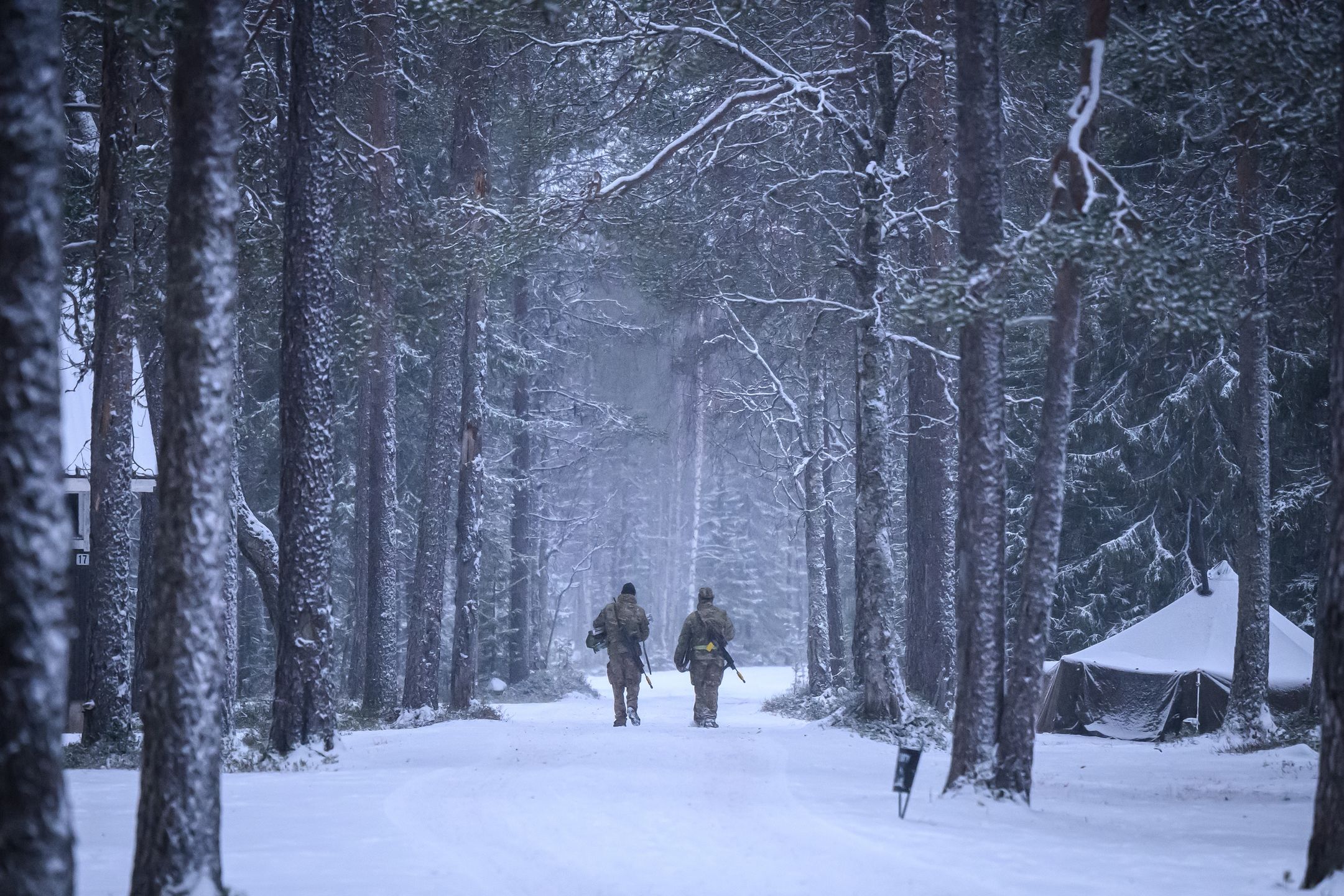 HEINUJARVI, FINLAND - NOVEMBER 19: Soldiers walk through the camp, as members of the Finnish arctic expert Jaeger Brigade train British, Swiss and french troops in cold-weather logistics on November 19, 2024 near Heinujarvi, Finland. The exercises include service members from 28 Allied and partner nations, and are taking place between November 4-24, across locations in Finland, Estonia, Germany, Poland, and Romania. (Photo by Leon Neal/Getty Images)