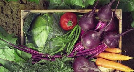 Mateusz Gessler w nowej reklamie promuje warzywa mrożone Hortex (wideo)