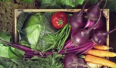 Mateusz Gessler w nowej reklamie promuje warzywa mrożone Hortex (wideo)