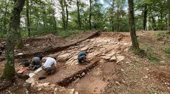 Odkryli "zaginioną stolicę Celtów". Sensacja archeologiczna we Francji