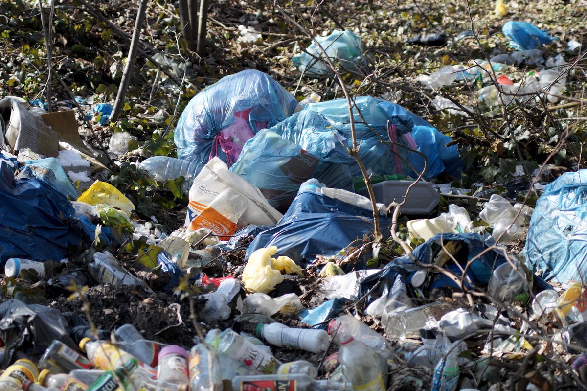 Za porzucenie śmieci w lesie w Niemczech będą groziły srogie kary 