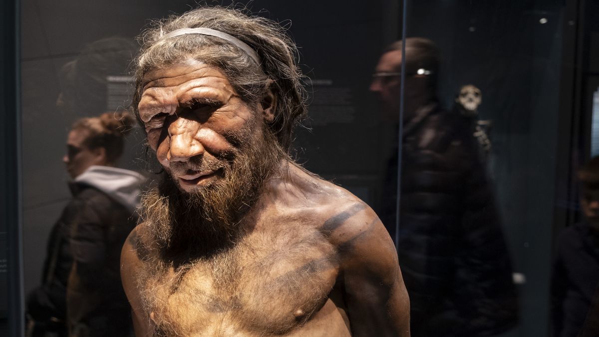 Neandertalczyk - zdjęcie ilustracyjne