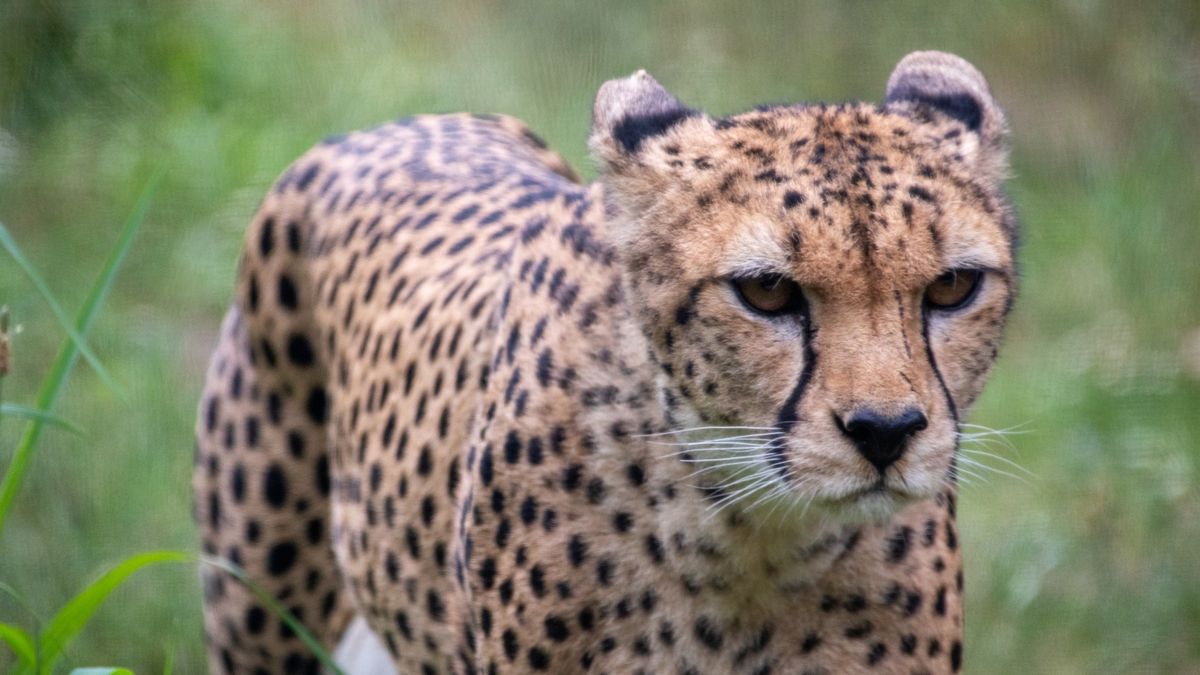 Krzyżówka z wiedzy ogólnej