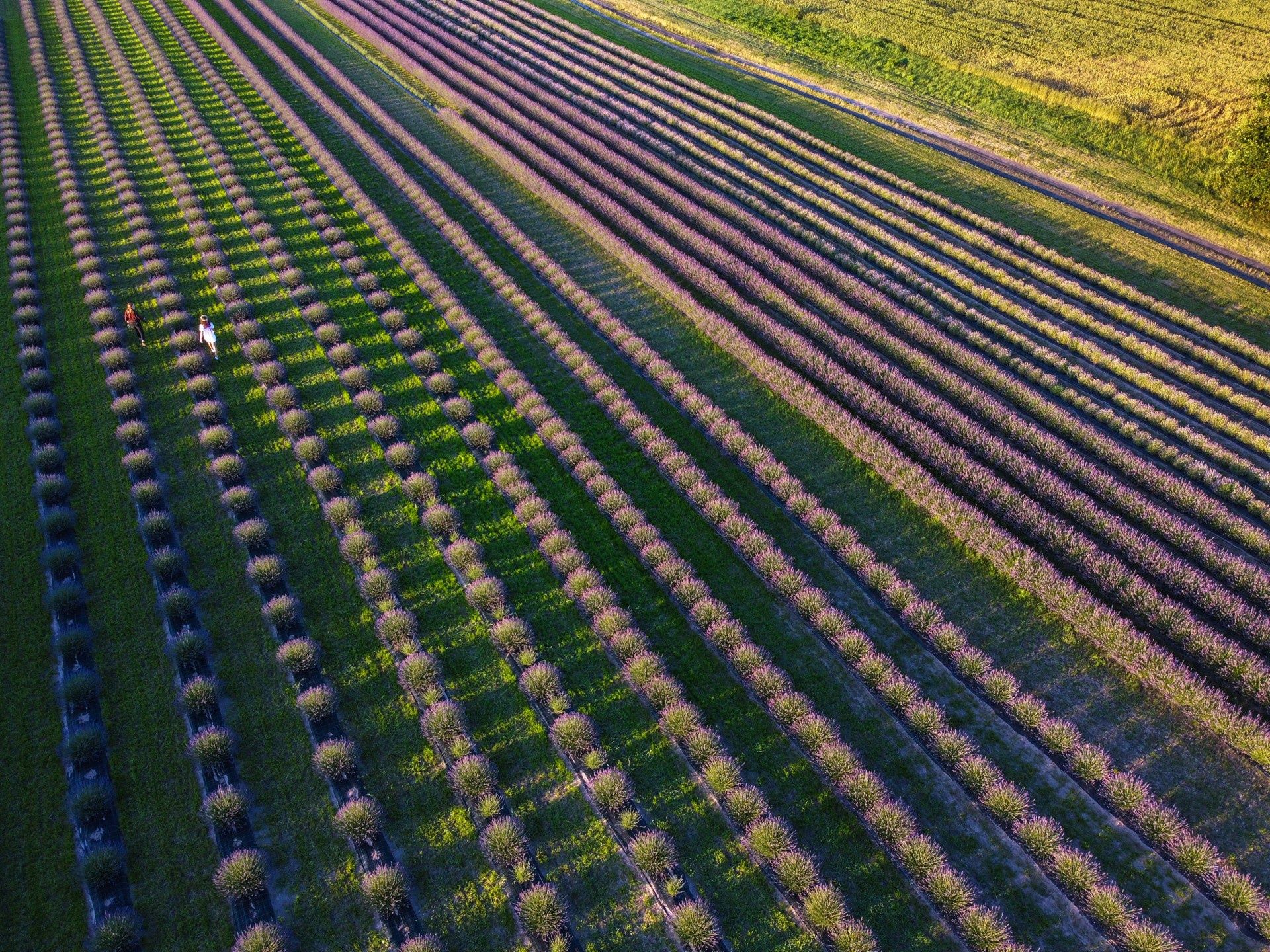 Agroturystyka