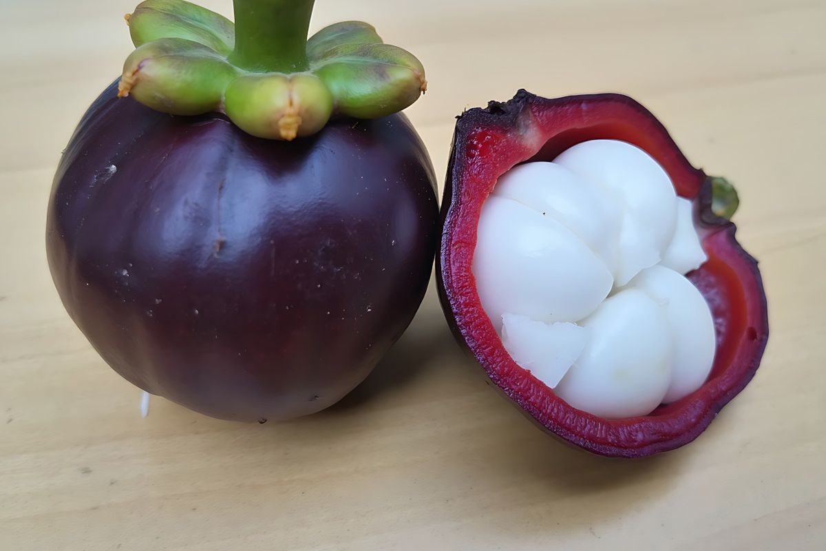 Przekrojony mangostan zwyczajny