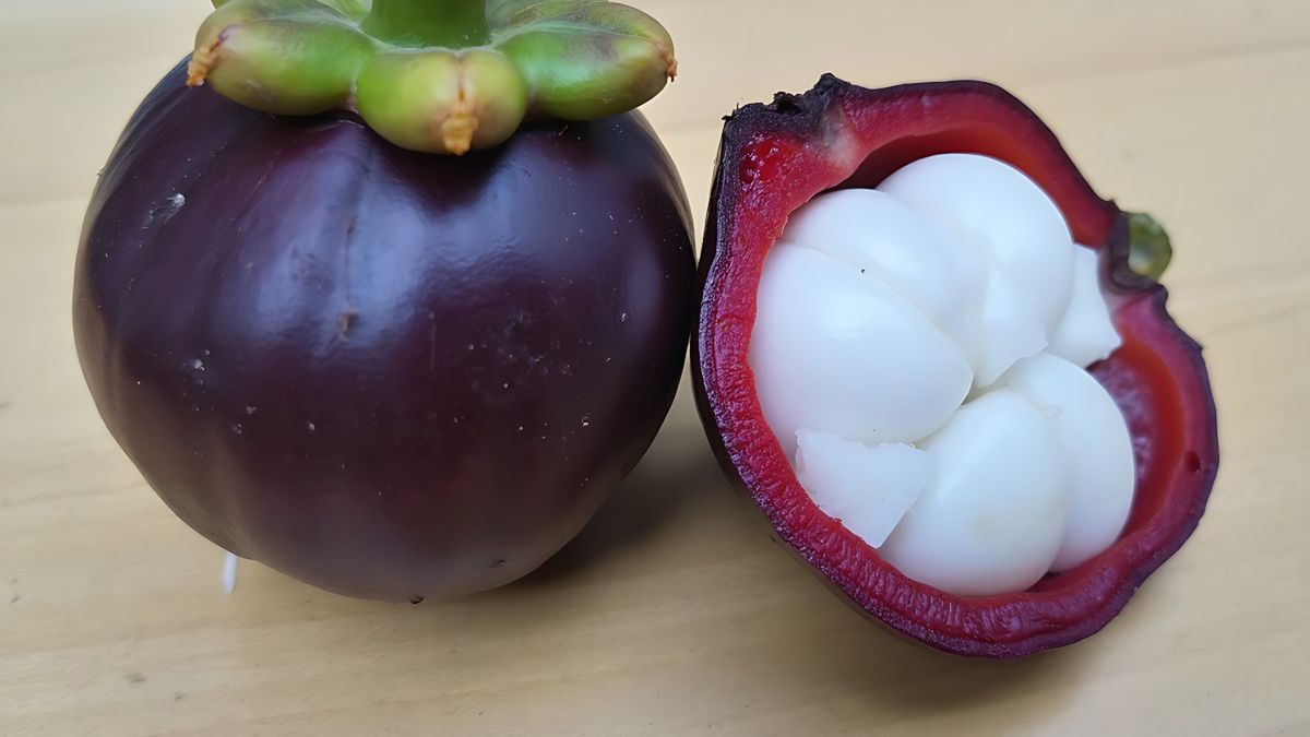 Przekrojony mangostan właściwy