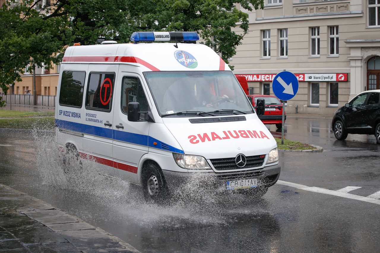 Groźny atak krowy. Kobietę zabrała karetka