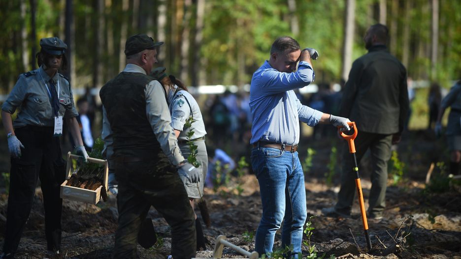 Udzial Pary Prezydenckiej w akcji #sadzimy.Nadlesnictwo Piotrkow Trybunalski, Lesnictwo Wierzeje. 10.10.2021. Udzial Pary Prezydenckiej w akcji #sadzimy. N/Z prezydent Andrzej Duda.,Image: 635715461, License: Rights-managed, Restrictions: , Model Release: no, Credit line: Adam Chelstowski / ForumAdam Chelstowski / Forumpolityka, politycy, sadzenie lasu, las, sadzonka, przyroda, w lesie, ochrona srodowiska, lasy panstwowe, sadzi, sadza, category_code_odd