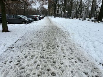 Toruń: Zima zawitała na dobre. Gdzie zgłaszać potrzebę interwencji?