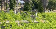 Europejskie Dni Archeologii w Muzeum Archeologicznym w Wiślicy