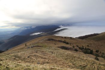 "Przypadek bez precedensu". Tajemnicza seria zgonów w Bułgarii