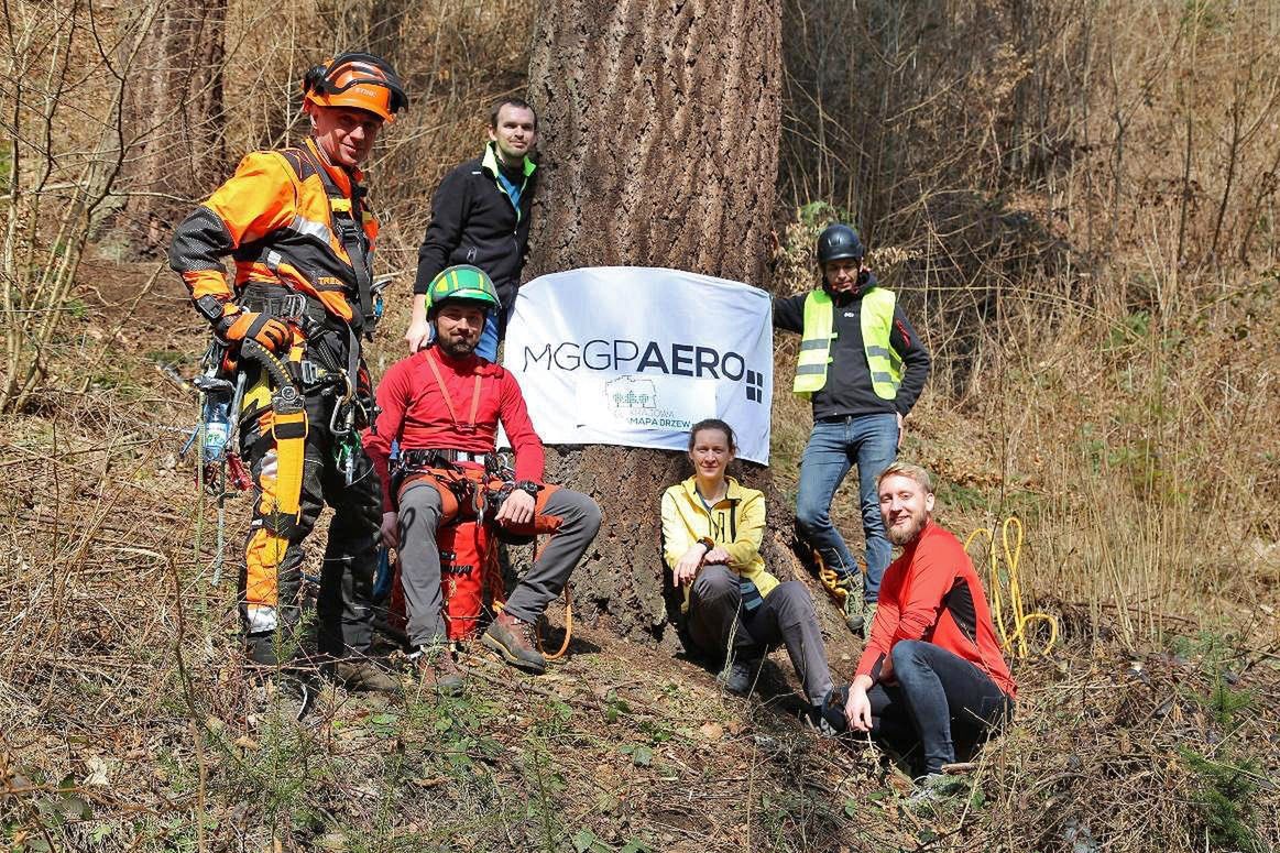 Zespół, który opracował Krajową Mapę Koron Drzew