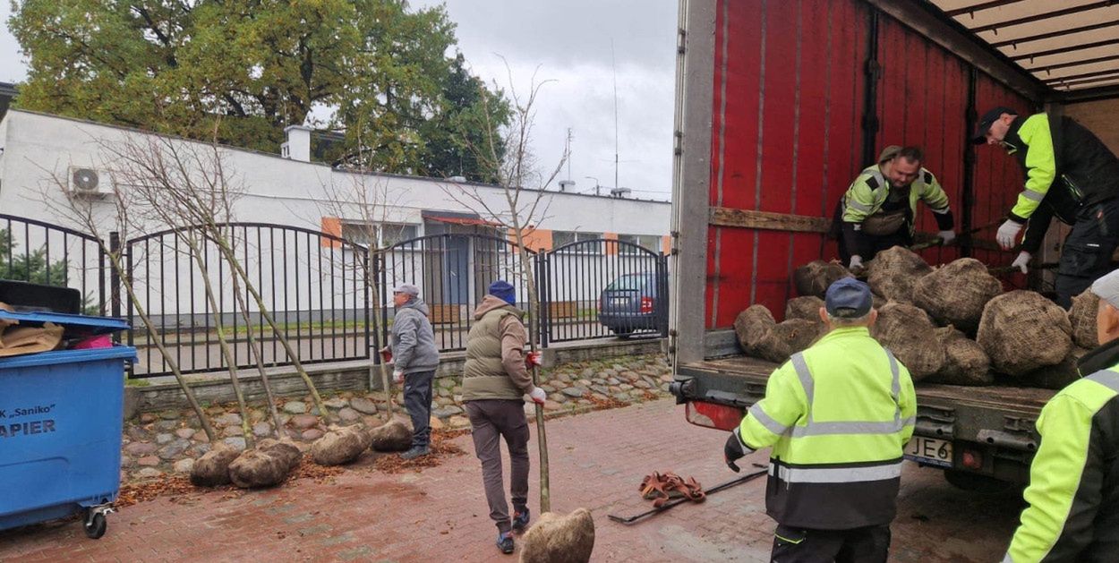 Kowal: Najbardziej zielone miasto Kujaw. Kolejne drzewa i krzewy