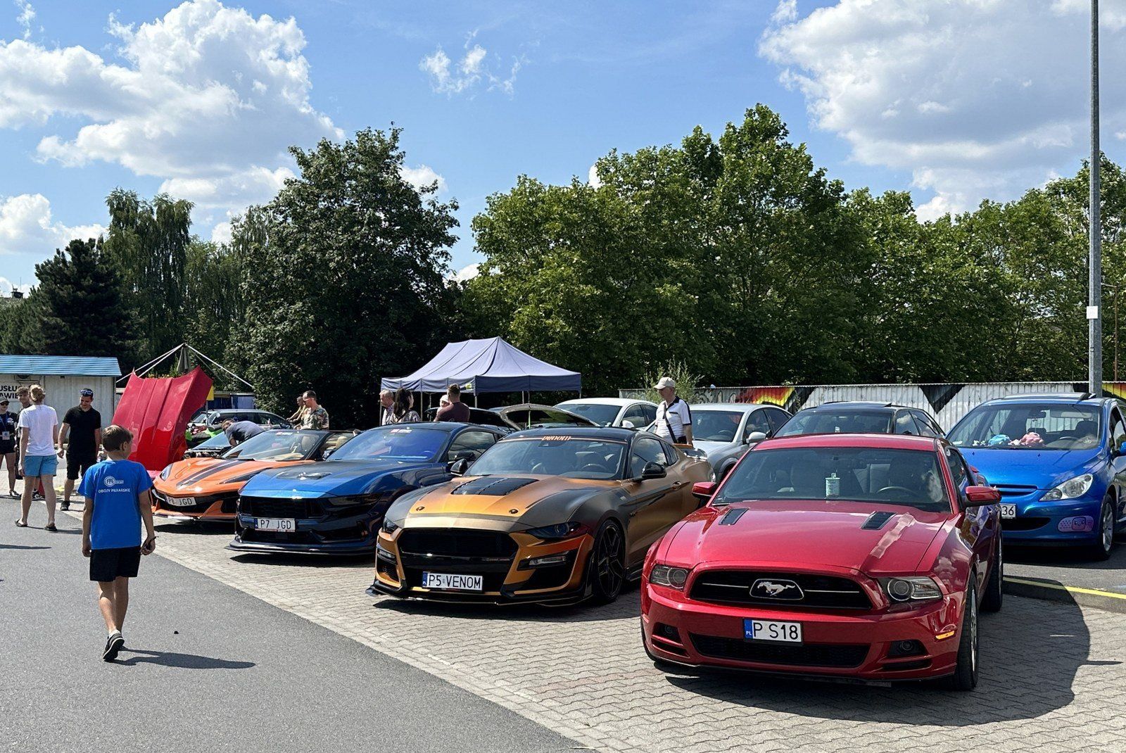 Family Cars - Leszno dla zwierzaków
