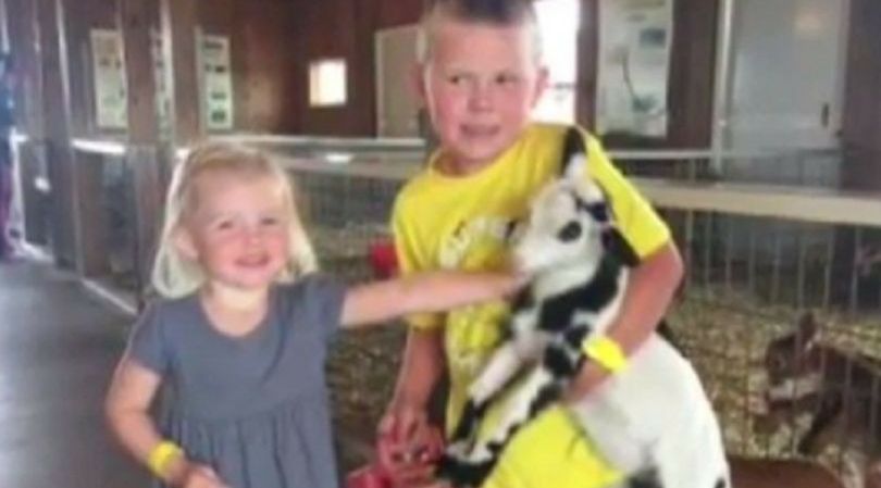 Tragiczna wizyta w ZOO