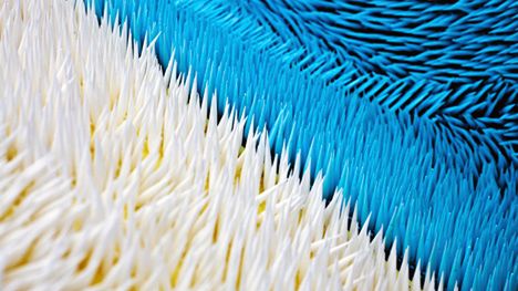 Miranda - innowacyjna wykładzina 1