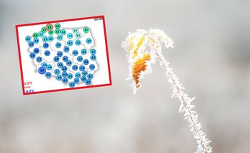 Mroźny poranek w części Polski. Spora różnica temperatur