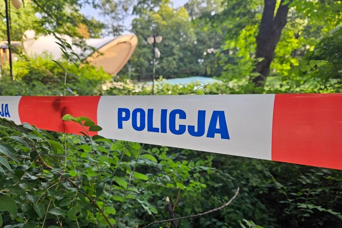 Konar spadł na nastolatki w Ogrodzie Saskim