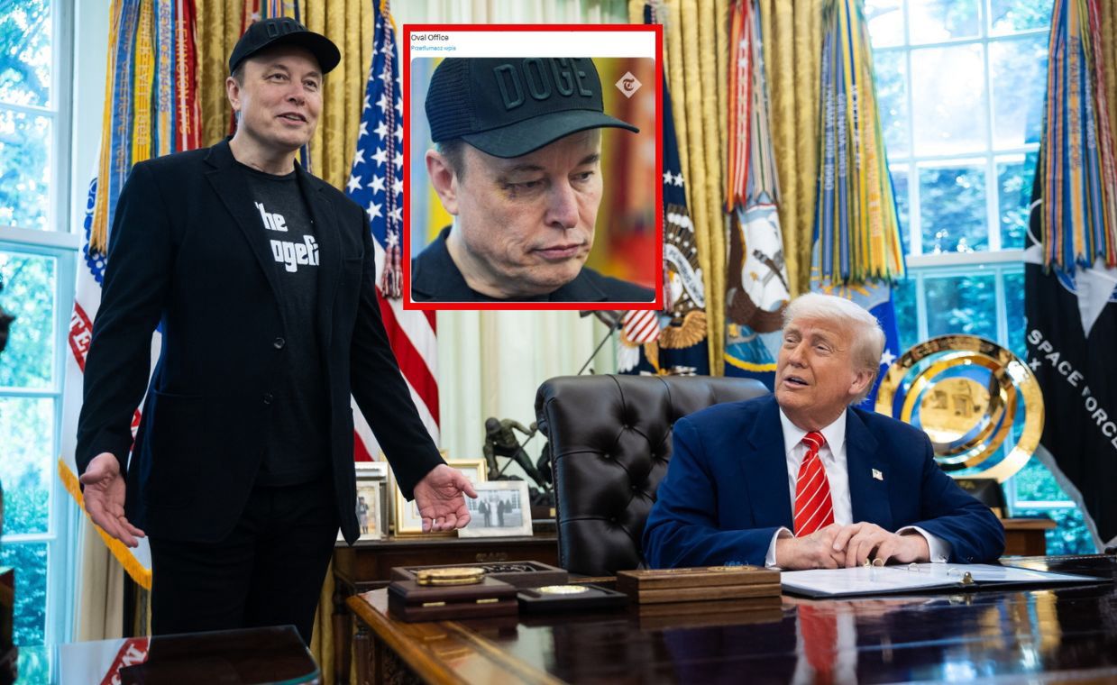 Musk's government exit: doge legacy and a farewell bruise