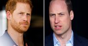 William już nie potrzebuje Harry'ego. Taką decyzję podjął