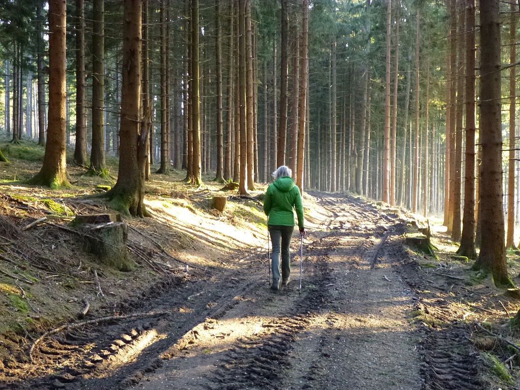 Sprytne gadżety na pieszą wędrówkę. Przydadzą się każdemu