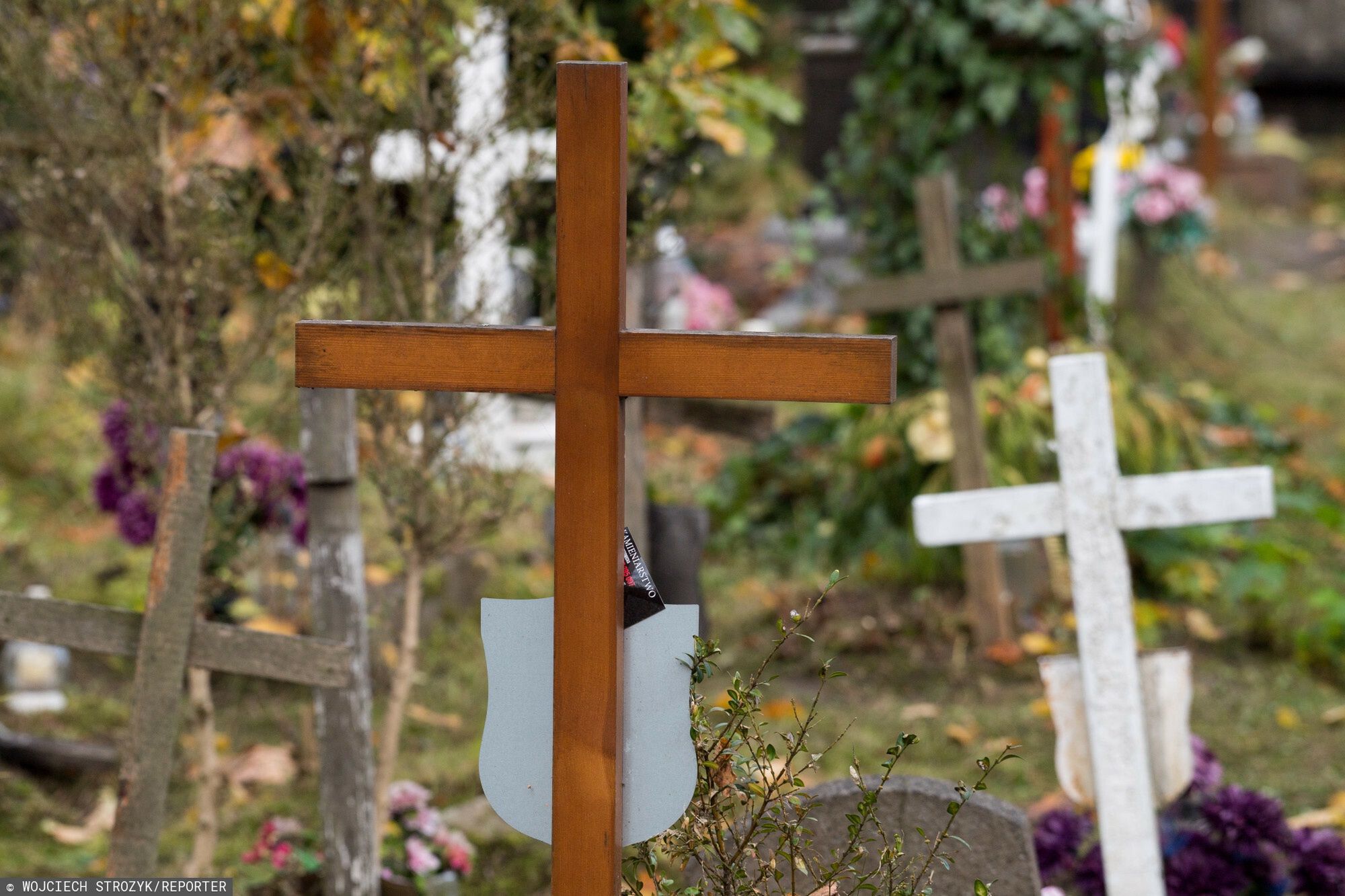 Przygotowania do ?wi?ta Wszystkich ?wi?tych
25.10.2022 Gdansk Cmentarz Garnizonowy
Fot. Wojciech Strozyk/REPORTER
Wojciech Strozyk/REPORTER