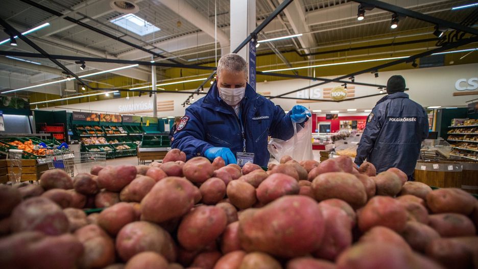 Ziemniaki na bazarach na razie nie drożeją. Zyskują na popularności jako świetny zamiennik makaronu.