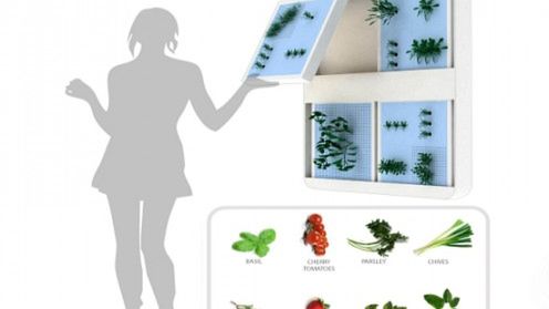 Ekoblogia: Ogród przenośny jak teczka 1