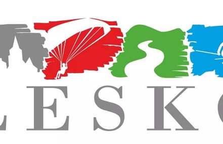 Władze Leska po nagonce w internecie wycofują się z wybranego logo