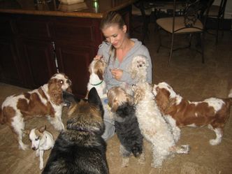 Joanna Krupa z adoptowanymi psami