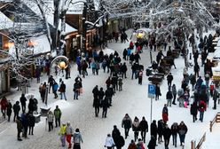 Tak kuszą Polaków przed świętami. Zarobki ponad 10 tys. zł na rękę