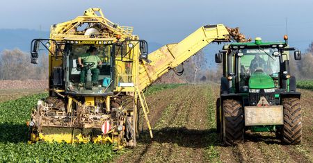 Rolnicy mówią "dość" samozbiorom. Ich produktów nikt nie weźmie