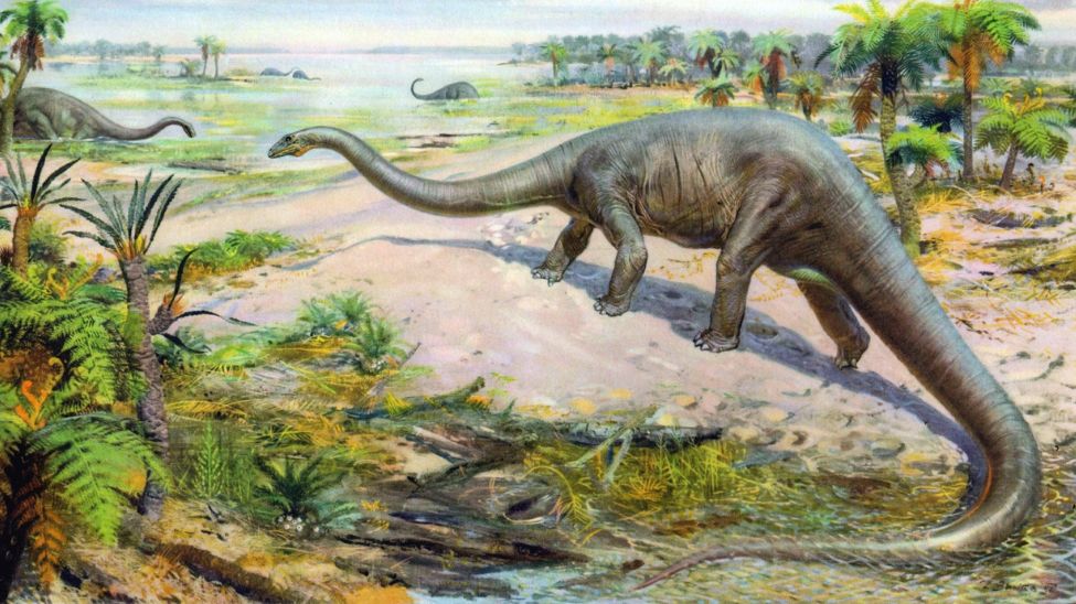 Odkryli nowego gigantycznego dinozaura w Tajlandii. Szczegóły