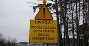 Kolejne przypadki ptasiej grypy w powiecie wągrowieckim. Powiatowy Lekarz Weterynarii wydał komunikat