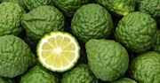Limonka kaffir - co to jest, właściwości zdrowotne, zastosowanie w kuchni