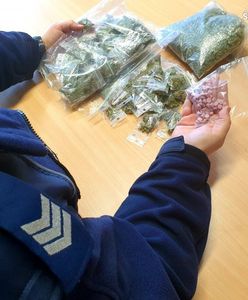 Śląsk. 600 porcji narkotyków u dilera w Rudzie Śląskiej. Sprawa jest rozwojowa