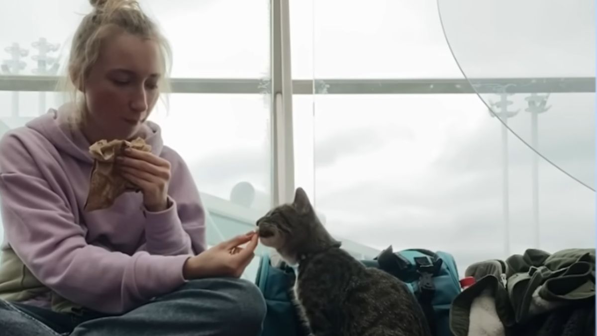 Towarzysz Jennifer stał się ulubieńcem internautów 