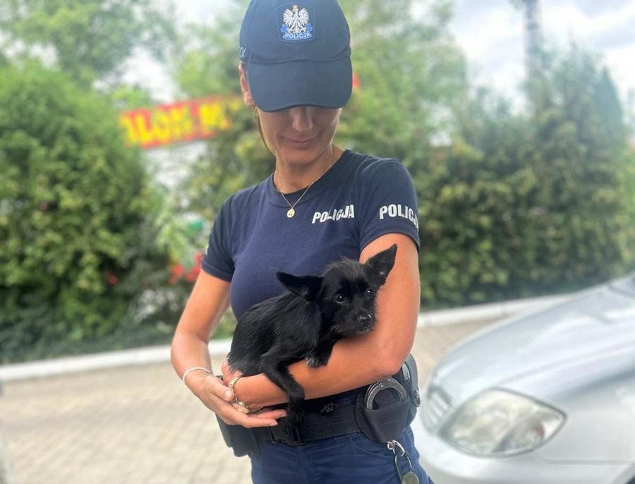 Nisko: Policjanci pomogli zagubionemu czworonogowi