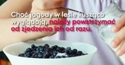 Dlaczego nie można jeść owoców prosto z krzaka? (WIDEO)