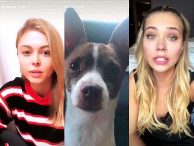 Sandra Kubicka przygarnęła psa od Joanny Opozdy i ODDAŁA GO kilka dni później? "Pieska już nie ma"