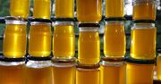 Fatalny wybór. Ten sposób przechowywania miodu jest najgorszy