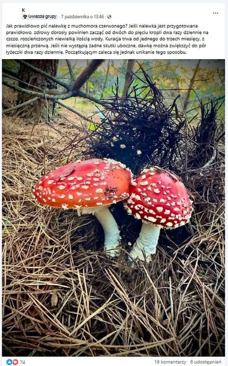W internecie pojawiają się "porady" dotyczące dawkowania grzyba