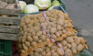 Wysyłali ziemniaki do Polski, zarobili 288 mln zł. Stąd je kupujemy