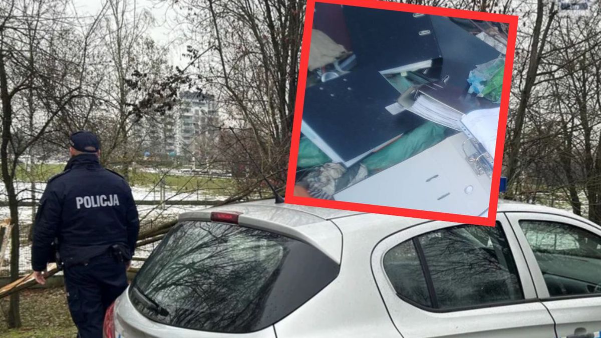 Szokujące odkrycie w gliwickim lesie. Sterty dokumentów z danymi