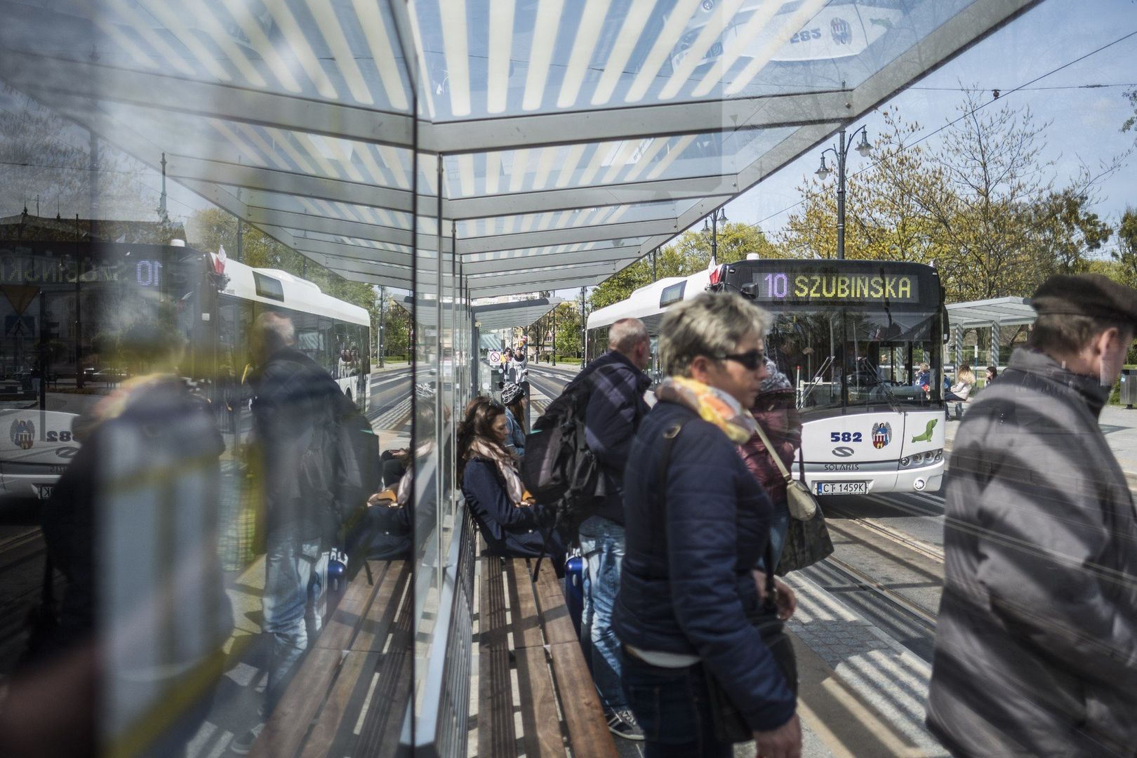 Czworonożny przyjaciel w autobusie albo tramwaju? Żaden problem! Ale warto pamiętać o kilku zasadach. 