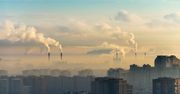 Wczesna ekspozycja na smog a struktura mózgu dzieci. Niepokojące wyniki