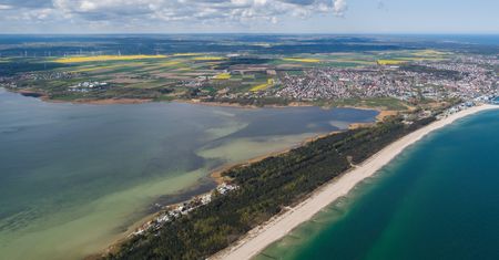 Jedyne w Polsce. "Ptaki tworzą tu niepowtarzalny spektakl, który można podziwiać tylko w trzech innych miejscach w Europie"